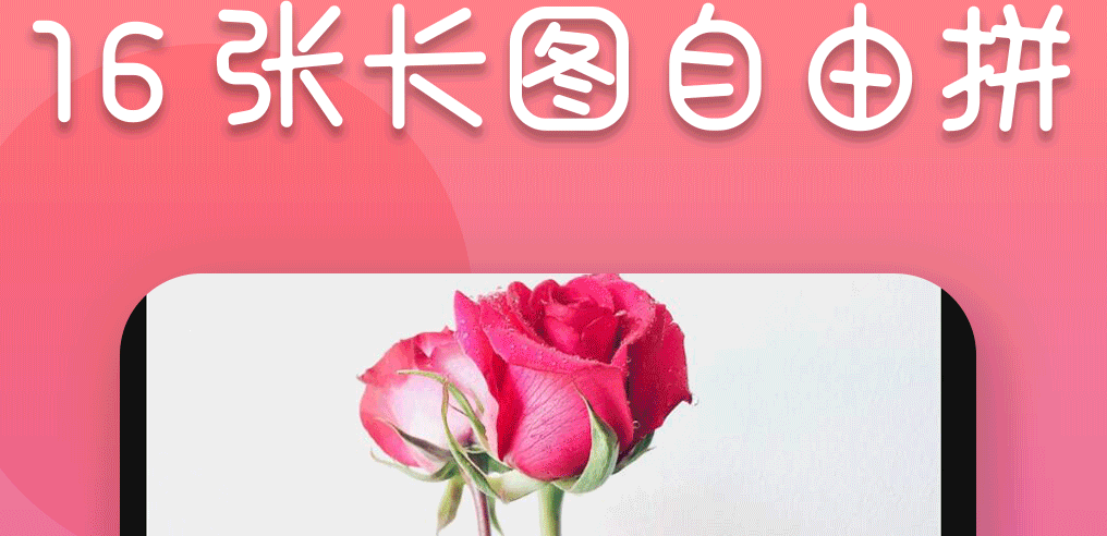 调整照片大小的软件有哪些 好用的照片大小调整类软件合集