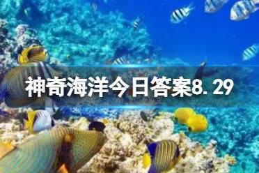 贝壳类生物是通过鳃呼吸的还是皮肤呼吸 神奇海洋8.29贝壳生物答案