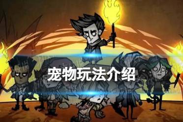 《饥荒新家园》宠物玩法一览