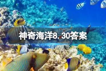 海马的骨骼结构的不同之处 神奇海洋8.30海马答案最新