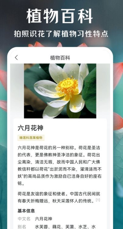 昆虫识别app哪个好 好用的昆虫识别app盘点