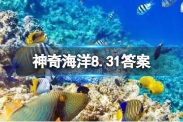 神奇海洋今日答案9.1 电鮼如何在水中导航和定位猎物