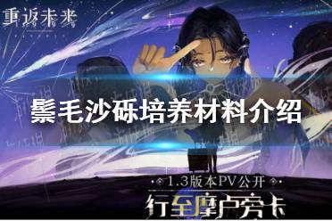《重返未来1999》鬃毛沙砾培养材料一览