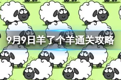 9月9日《羊了个羊》通关心得 通关心得第二关9.9