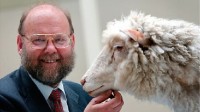 克隆羊之父去世：享年79岁