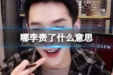 哪李贵了什么意思 哪李贵了是个什么梗