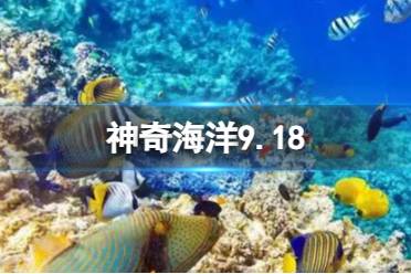 人工培育珊瑚被用来提高珊瑚礁的恢复速度吗 蚂蚁森林神奇海洋今日答案9.18最