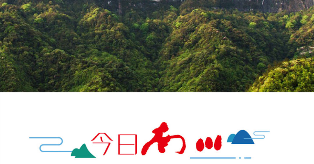 订期刊杂志用哪个app 可以订期刊杂志的软件有哪些