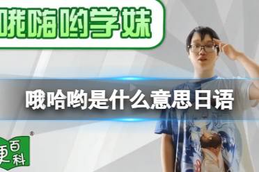 哦哈哟学姐小淘气 哦哈哟学姐梗一览