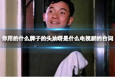 你用的什么牌子的头油呀是什么电视剧的台词 你用什么头油出处