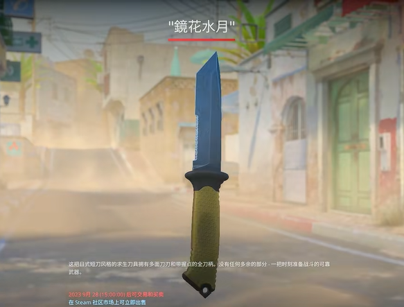 csgo2控制台怎么打开 csgo2控制台打开步骤图文教程