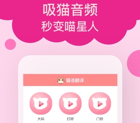 猫咪软件有哪些好用 热门猫咪软件最新排行