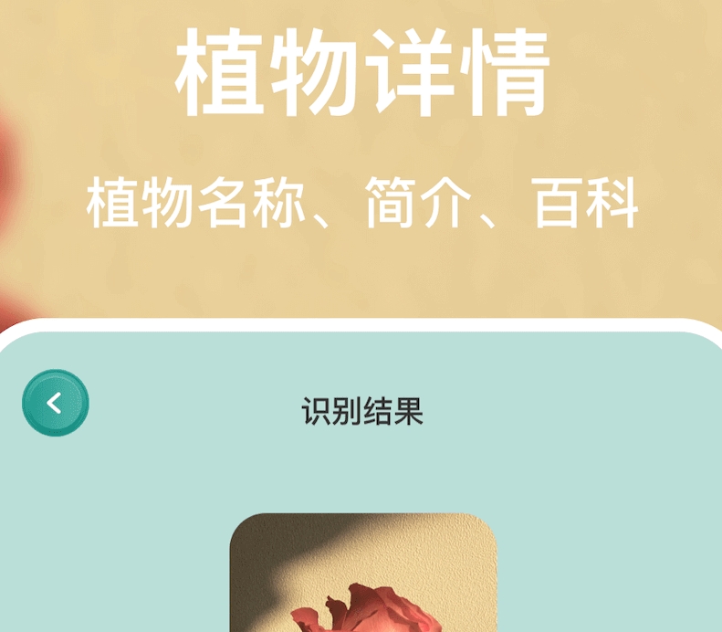 识别中草药的app有哪些 一键识别中草药软件有哪些