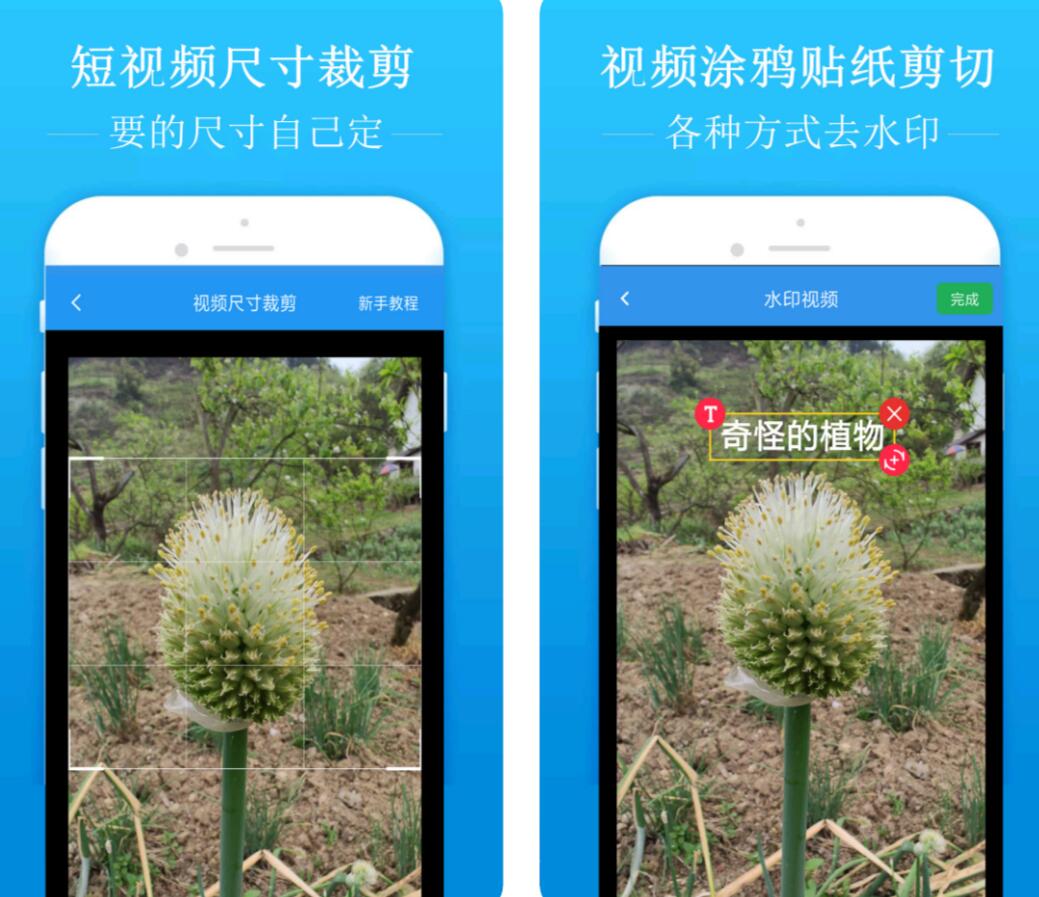 有哪些涂鸦去除工具app免费 好用的去涂鸦软件有什么