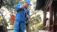 颐和园"最强扫地僧"走红 热情解说被赞专业