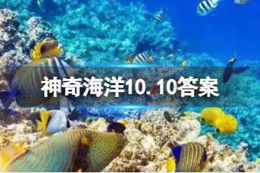 舌头鱼是什么鱼 蚂蚁森林神奇海洋今日答案10.10最新