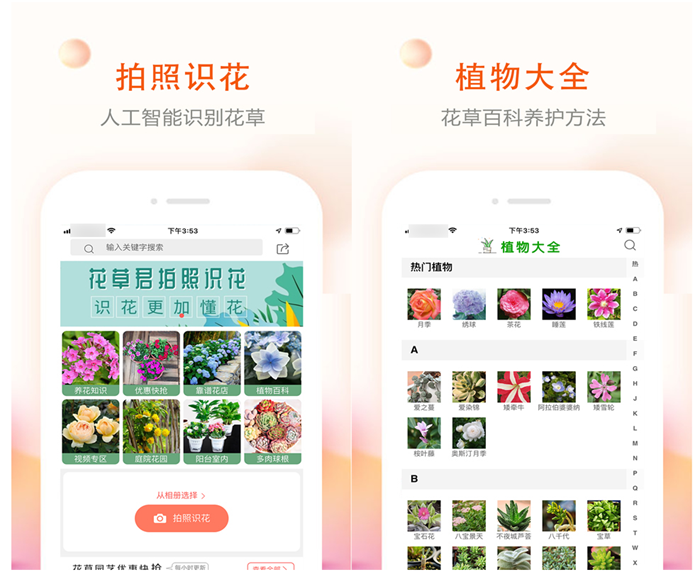 扫植物识别软件哪个好 识别植物名称的软件最新排行榜