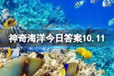 猜一猜海洋中的海牛和陆地上的牛有什么相似点 蚂蚁森林神奇海洋今日答案1