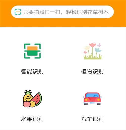 识别植物最准确的软件有哪些 热门的植物识别APP汇总