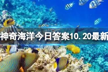 主要靠抢夺食物为生是海雀还是军舰鸟 神奇海洋今日答案10.20最新
