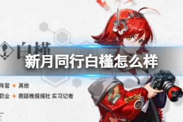 《新月同行》白槿怎么样 白槿人物一览