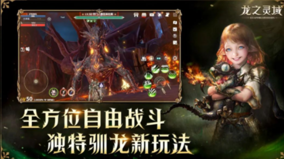 龙之灵域搬砖玩法介绍 龙之灵域搬砖攻略