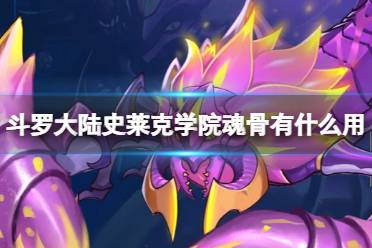 《斗罗大陆史莱克学院》魂骨有什么用 魂骨功能一览