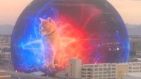 《惊奇队长2》亮相巨型球："橘猫"噬元兽可爱又吓人