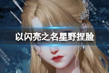 《以闪亮之名》星野捏脸 星野捏脸数据id