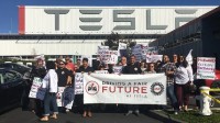 特斯拉禁止美国工厂工人穿工会T恤 法院裁决：并不违法