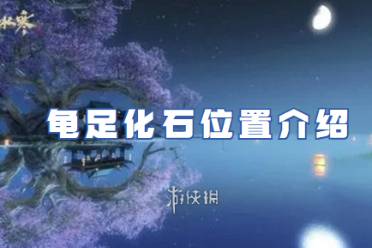 逆水寒手游龟足化石位置介绍