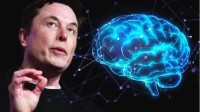 马斯克称脑机接口公司像猴子的天堂：从未导致其死亡