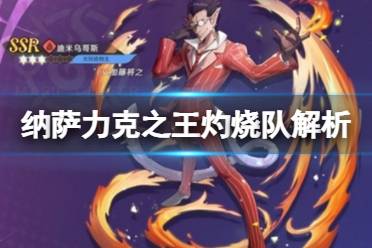 纳萨力克之王灼烧队解析