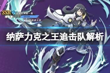 纳萨力克之王追击队解析