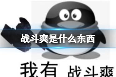 战斗爽是什么东西