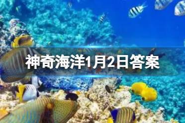 神奇海洋1月2日答案 锯鳐之所以得名是因为吻部形似锯子吗
