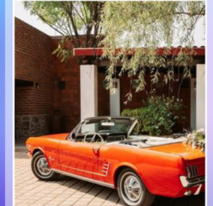 影视合集app下载有哪些 热门影视合集软件有哪些