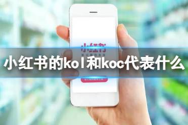 小红书的kol和koc分别代表什么