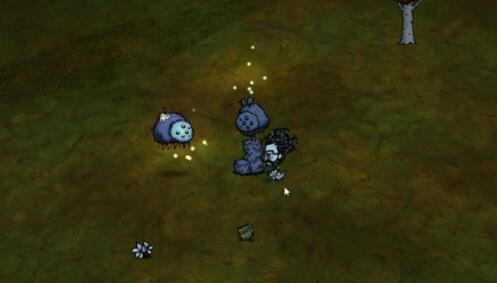 饥荒新家园无花果在哪里 饥荒新家园无花果的获得方式