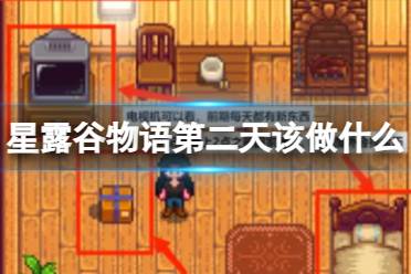 星露谷物语第二天该做什么