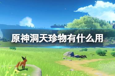 原神洞天珍物有什么用