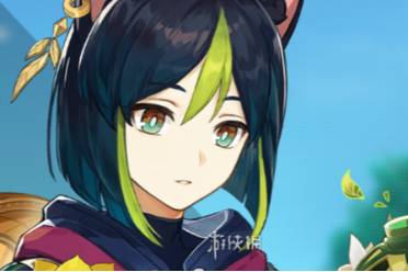 原神提纳里最强配队思路