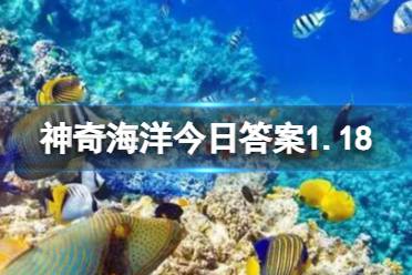 神奇海洋长得很像荷包蛋 1.19神奇海洋答案最新