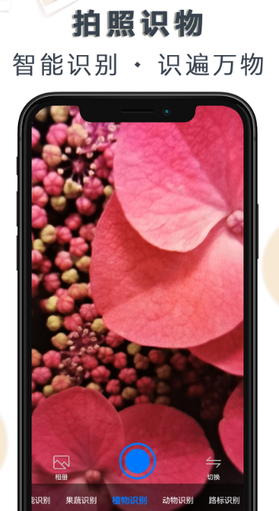 鸟类识别软件有哪些 可识别鸟类的app汇总