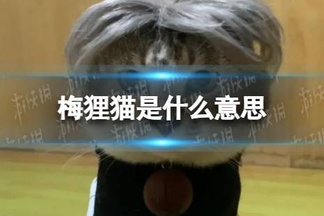 梅狸猫是什么意思