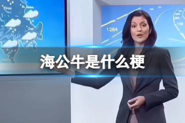海公牛是什么梗
