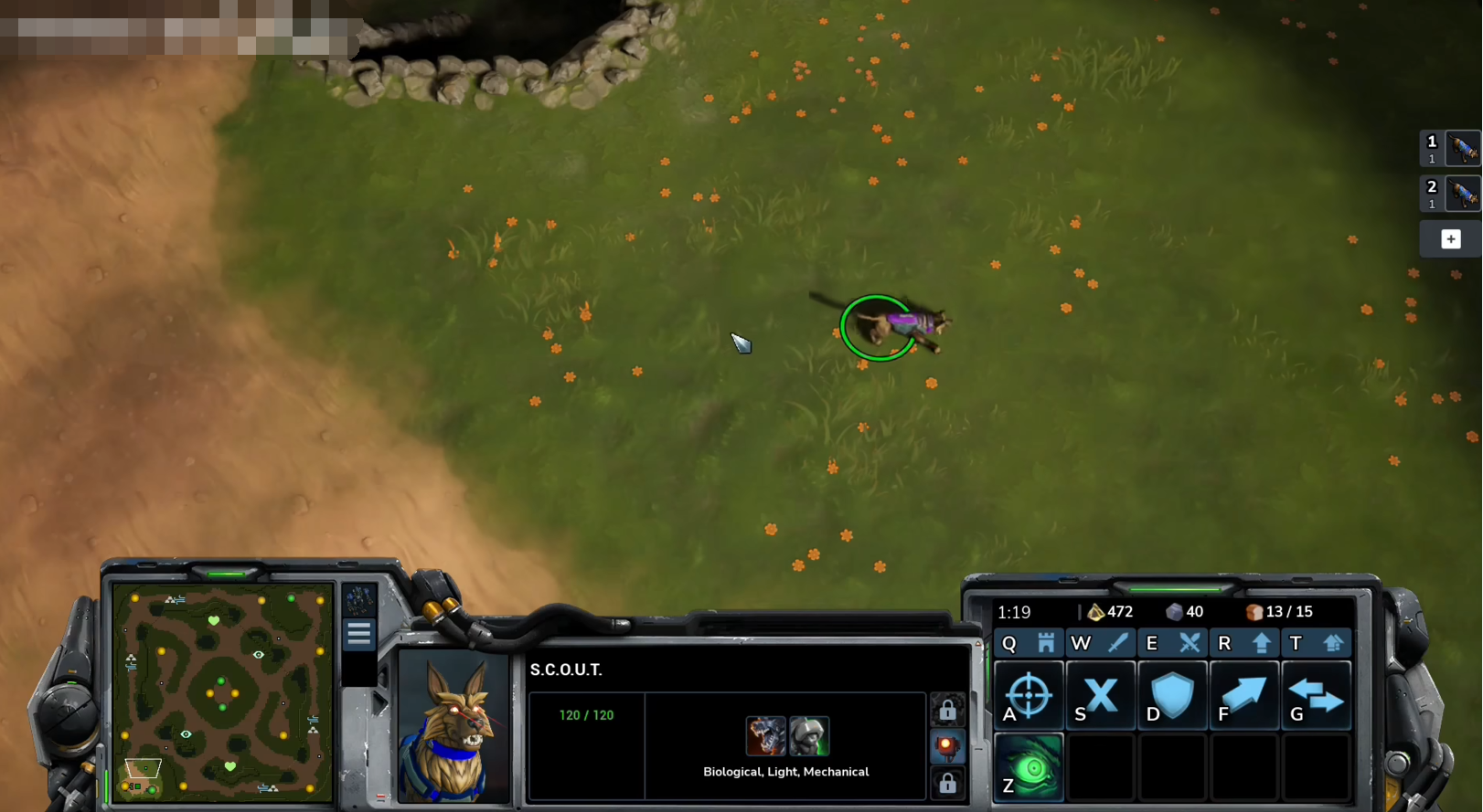 风暴之门几个种族 风暴之门曝光了哪些种族