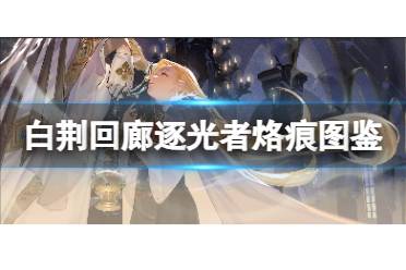 《白荆回廊》逐光者烙痕图鉴