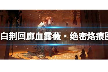 《白荆回廊》血露薇·绝密烙痕图鉴