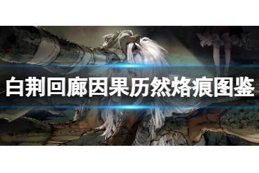 《白荆回廊》因果历然烙痕图鉴